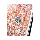 Jones Dream Weaver 2.0 2026 - 7B Boardshop