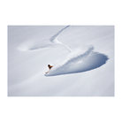 Jones Flagship 2026 - 7B Boardshop