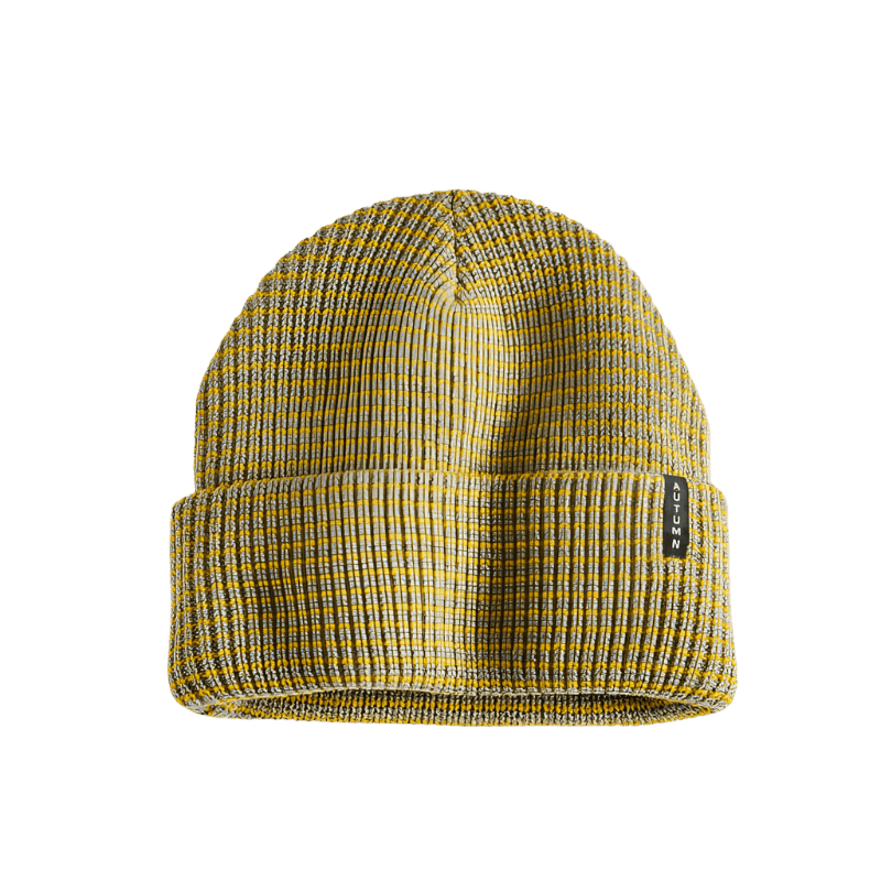 Autumn Select Stripe Beanie - 7B Boardshop