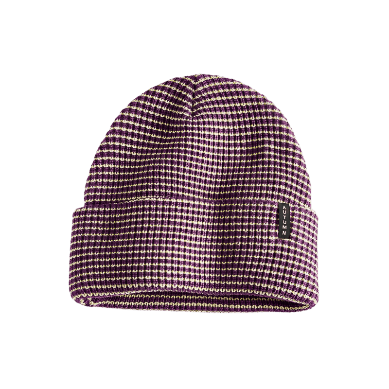 Autumn Select Stripe Beanie - 7B Boardshop