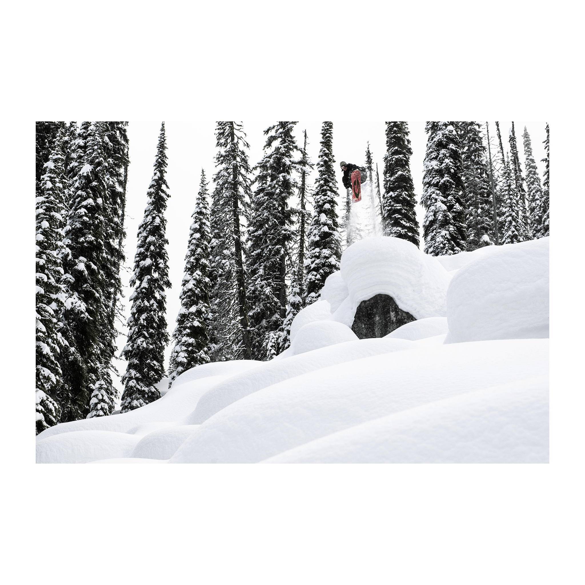 Gnu Wagyu 2026 - 7B Boardshop