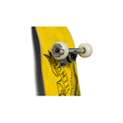 Anit Hero Copier Complete - 8.06" - 7B Boardshop