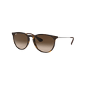 Ray Ban - Erika - 7B Boardshop