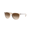 Ray Ban - Erika - 7B Boardshop
