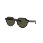 Ray-Ban Gina Women's Sunglasses - Havana / Green - 7B Boardshop