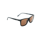 Dang - Recoil - 7B Boardshop