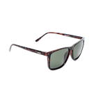 Dang - Recoil - 7B Boardshop