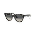 RayBan - Wayfarer Way - 7B Boardshop