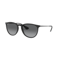 Ray Ban - Erika - 7B Boardshop